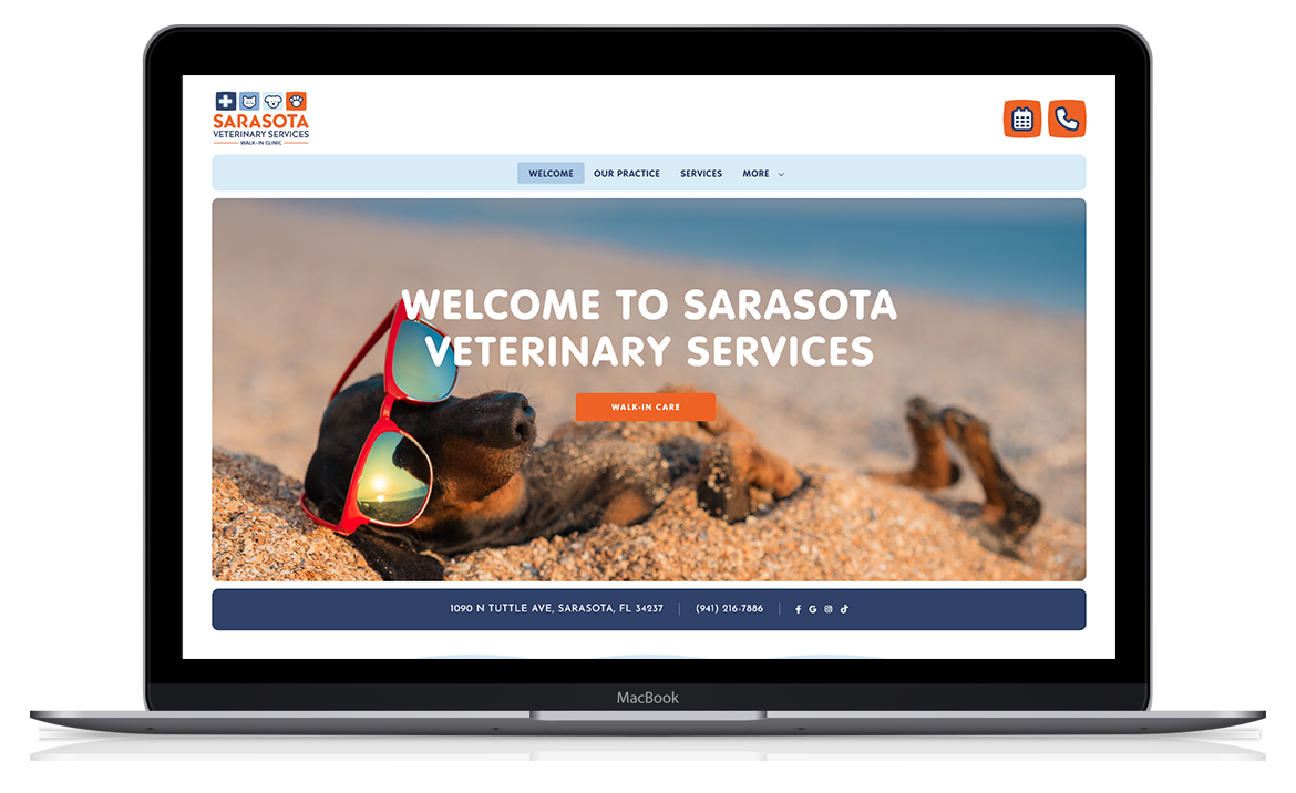 CLICK HERE to see some live veterinary websites.